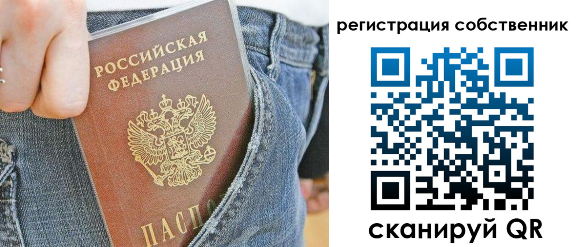 временная регистрация гарантия в Павловске