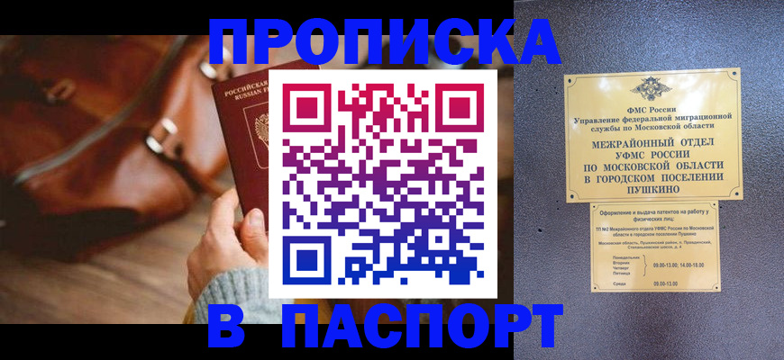 временная регистрация недорого в Павловске